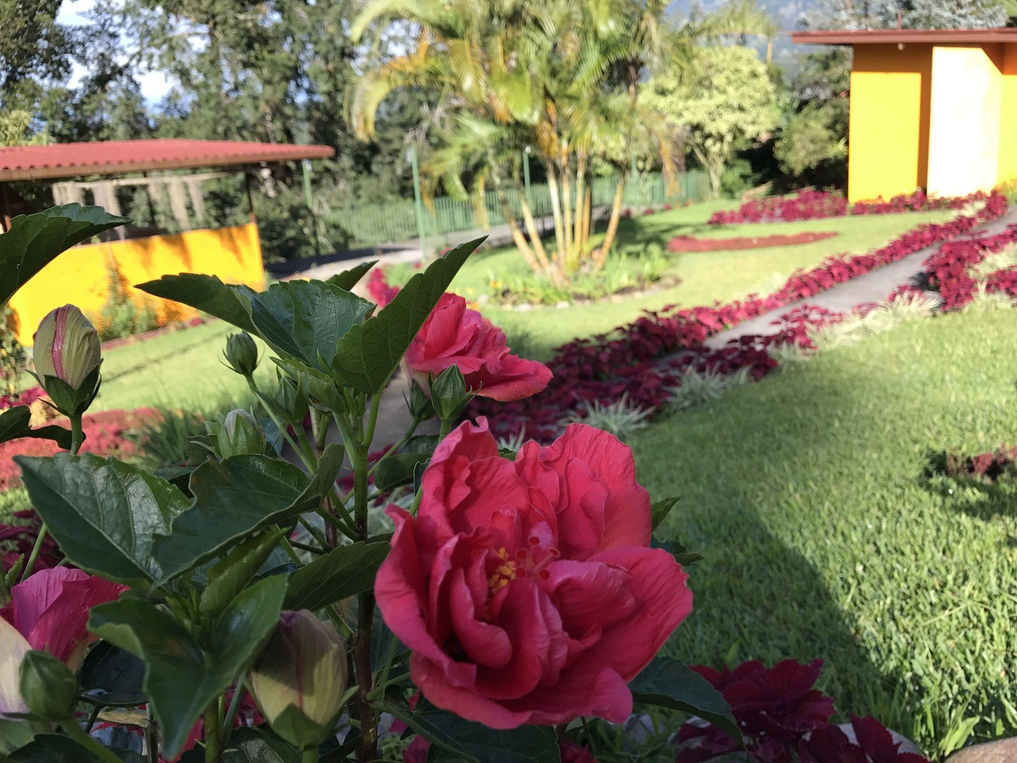 Santuario Lodge Agro-Hotel Boquete Bagian luar foto